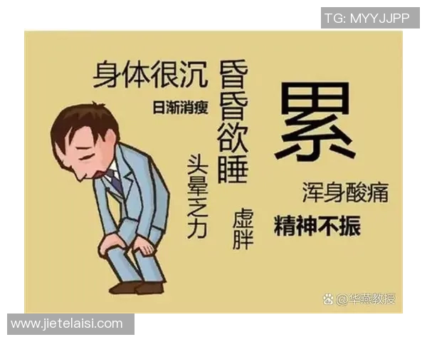 运动之道：身体力量与意志力融合的探索与精神内涵解析
