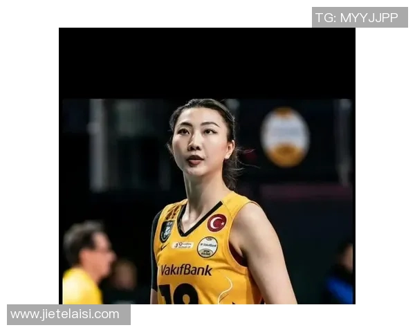 篮球明星对女排的热爱与支持探讨及其背后的原因分析